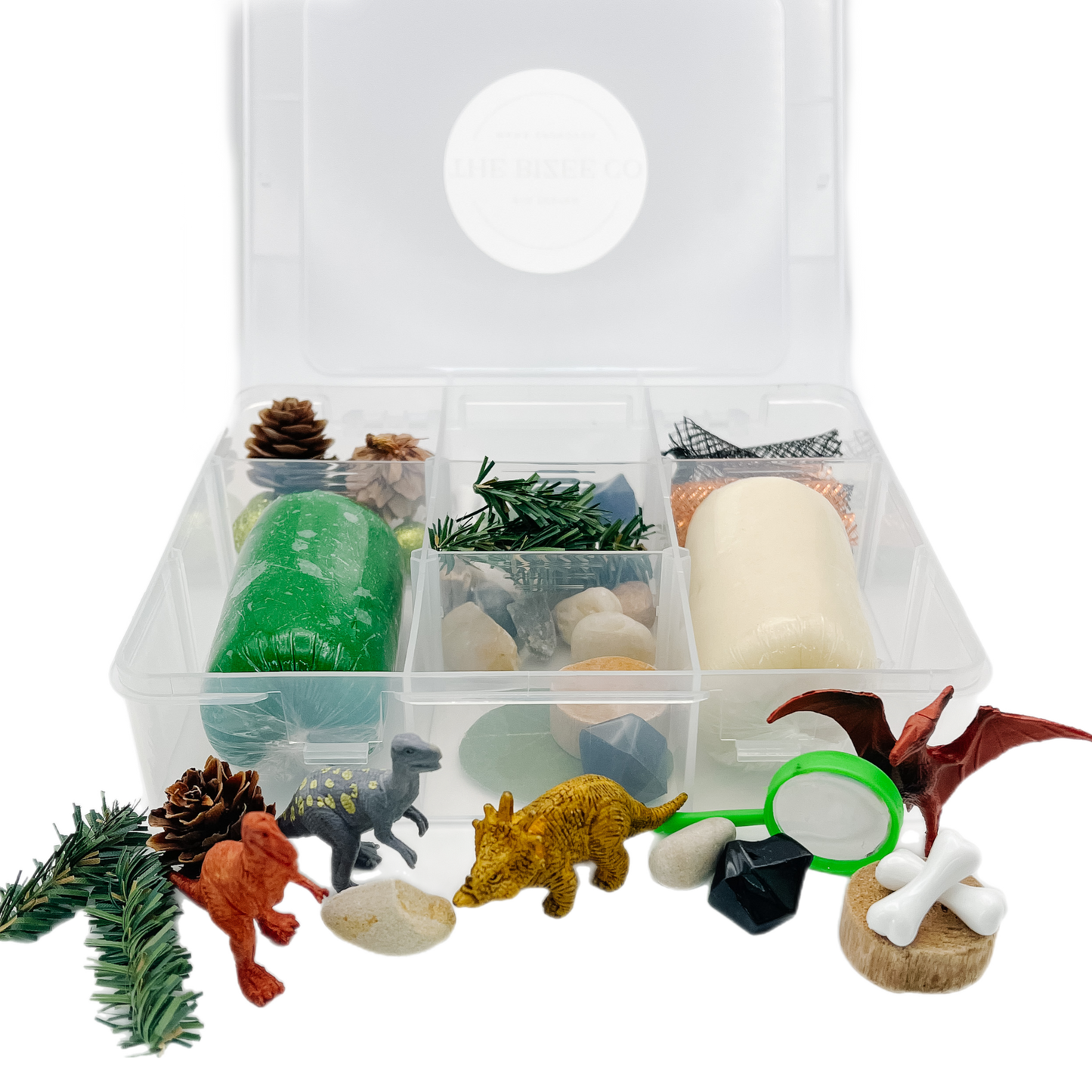 Dinosaur Bizee Box Mini